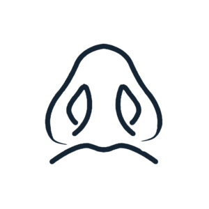 SEPTOPLASTY