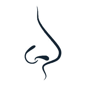 RHINOPLASTY