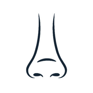 REVISION RHINOPLASTY